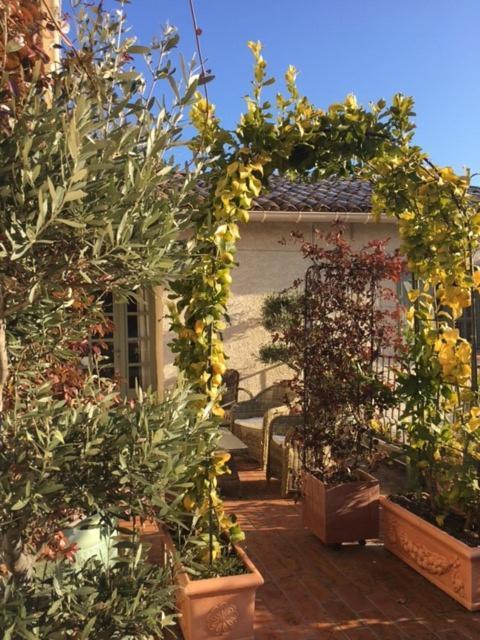 Domaine Le Bois Des Dames Bed & Breakfast Chantemerle-les-Grignan Luaran gambar